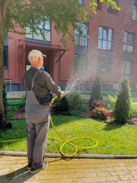 Зображення #1